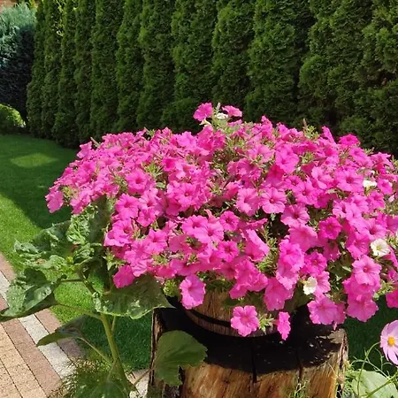 Blanka Hytte Jastarnia